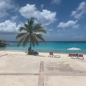 https://blije-rust-10.comcaribbean.com