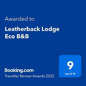 https://the-leatherback-lodge.comcaribbean.com